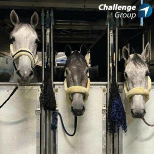 Uitdaging: The Air Cargo Horse Whisperer, opererend vanaf Liege Airport
