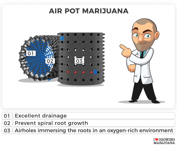 Airpot for a cannabis autoflower plant
