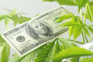 Sprzedaż marihuany w Connecticut osiągnęła w lutym 18 milionów dolarów
