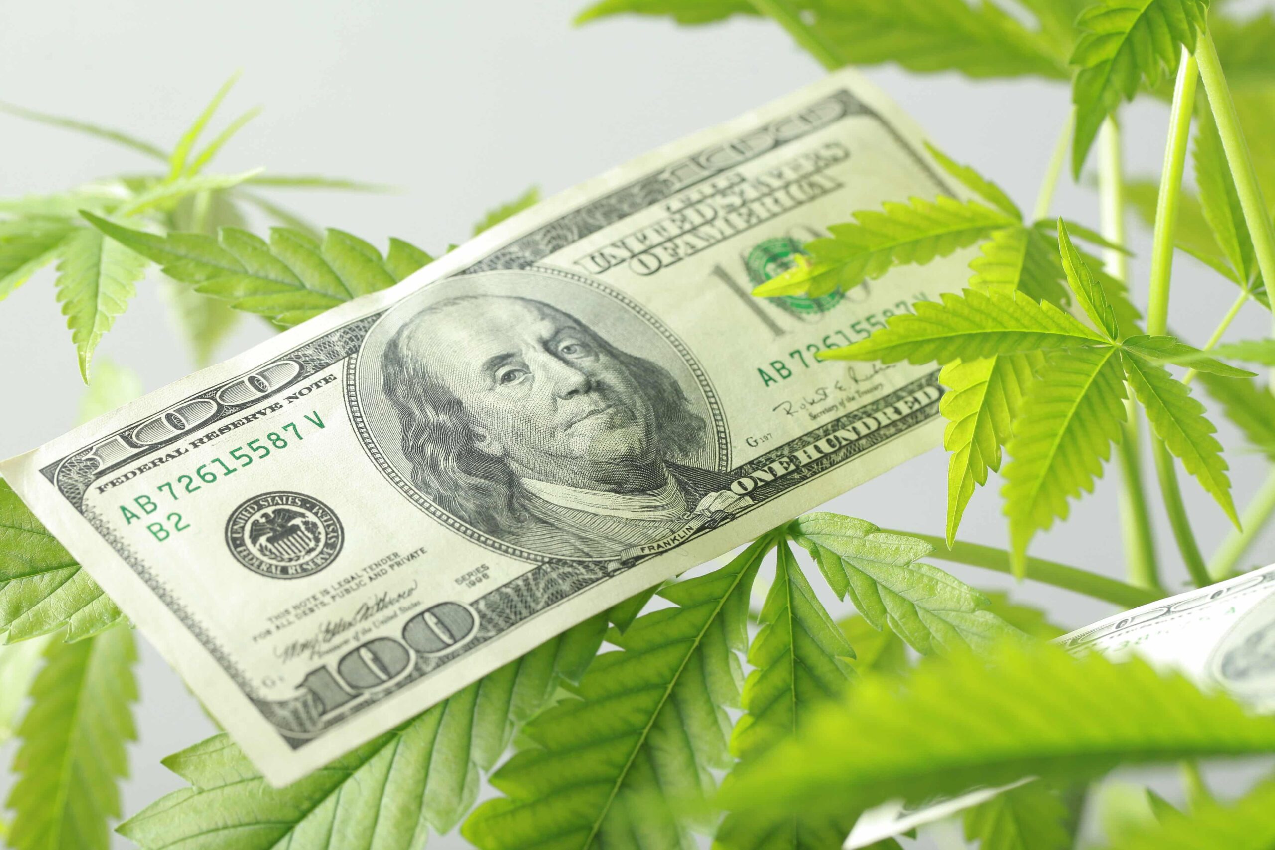 Sprzedaż marihuany w Connecticut osiągnęła w lutym 18 milionów dolarów