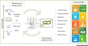 Wkład elektrobiotechnologii w realizację celów zrównoważonego rozwoju