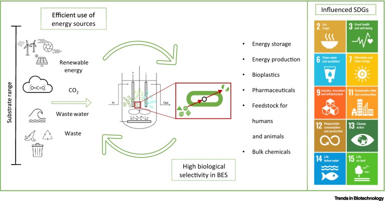 Contribution of electrobiotechnology to sustainable development goals