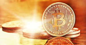 Crypto Wallets 101: Kuinka tallentaa ja suojata digitaalisia valuuttojasi