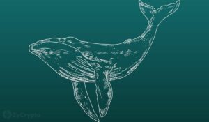 加密鲸鱼在 XRP 和 MATIC 上加载，克服市场不确定性——链上数据显示