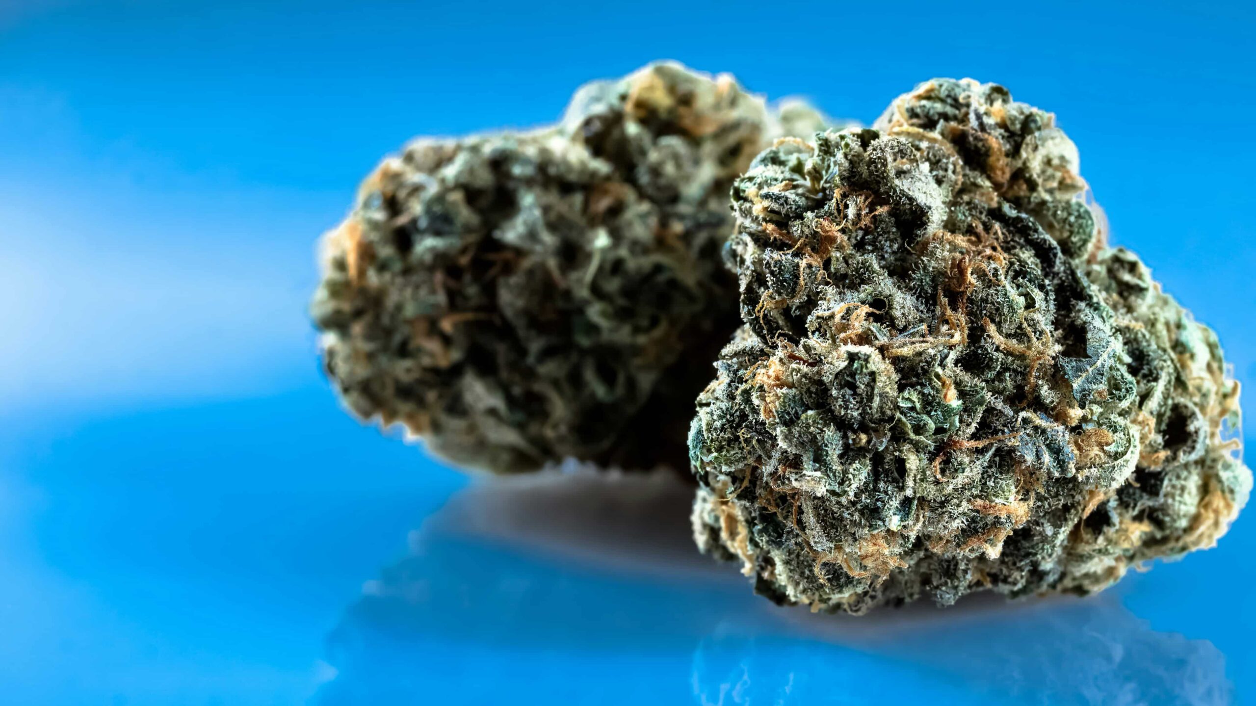 Senatet i Delaware godkender lovforslag om legalisering af cannabis