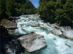 تحقیقات نشان می دهد تغییرات چشمگیر در جریان رودخانه نیوزیلند