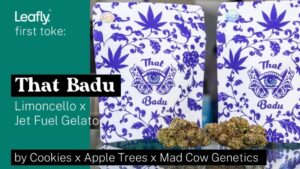 First Toke : Erykah Badu révèle la collaboration de la variété 'That Badu' avec Cookies