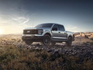 Продажі Ford у лютому збільшилися на 21.9%.