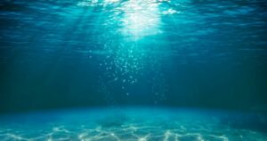 Tratado de Alto Mar: Estados membros da ONU selam acordo histórico para proteger águas internacionais
