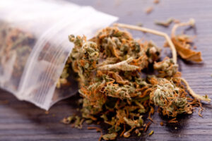 Здається, цього року в Канзасі поштовх до медичної марихуани завершено