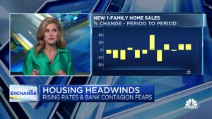 Nest Seekers の Erin Sykes 氏によると、手頃な価格の住宅が不足しているため、賃貸住宅が急増しています。