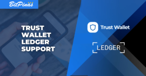Supporto portafoglio hardware Ledger integrato nell'estensione Trust Wallet