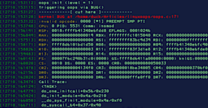 Linux ottiene un doppio aggiornamento rapido per correggere il kernel Oops!