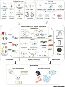Модульная синтетическая биология с интеллектуальными биосенсорами