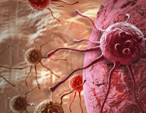 Neue Finanzierung zur Beschleunigung der klinischen Entwicklung eines potenziellen Wirkstoffs gegen Krebs