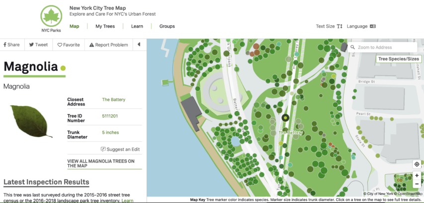 Carte des arbres des parcs de NYC