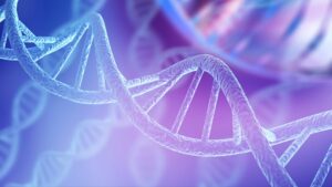ערכות PCR דיגיטליות אונקולוגיות יושקו לאחר שיתוף הפעולה של סטילה ואטילה