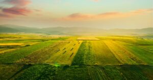 'Peluang luar biasa': Bagaimana investor dapat membantu memangkas emisi sektor pangan dan membuka dorongan ekonomi $1.5 triliun