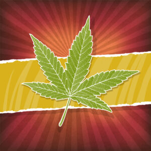 Planning Board beoordeelt voorgestelde marihuanasites | Nieuws