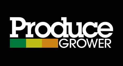 [Plenty in Produce Grower] Q&A: Plenty's Nate Storey が新しい R&D 施設とベイエリアからの移転について語る