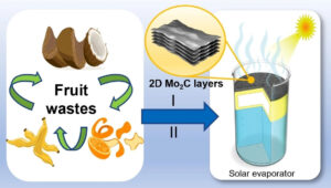 Recyclage des déchets de fruits dans un absorbeur solaire MXene pour le dessalement de l'eau