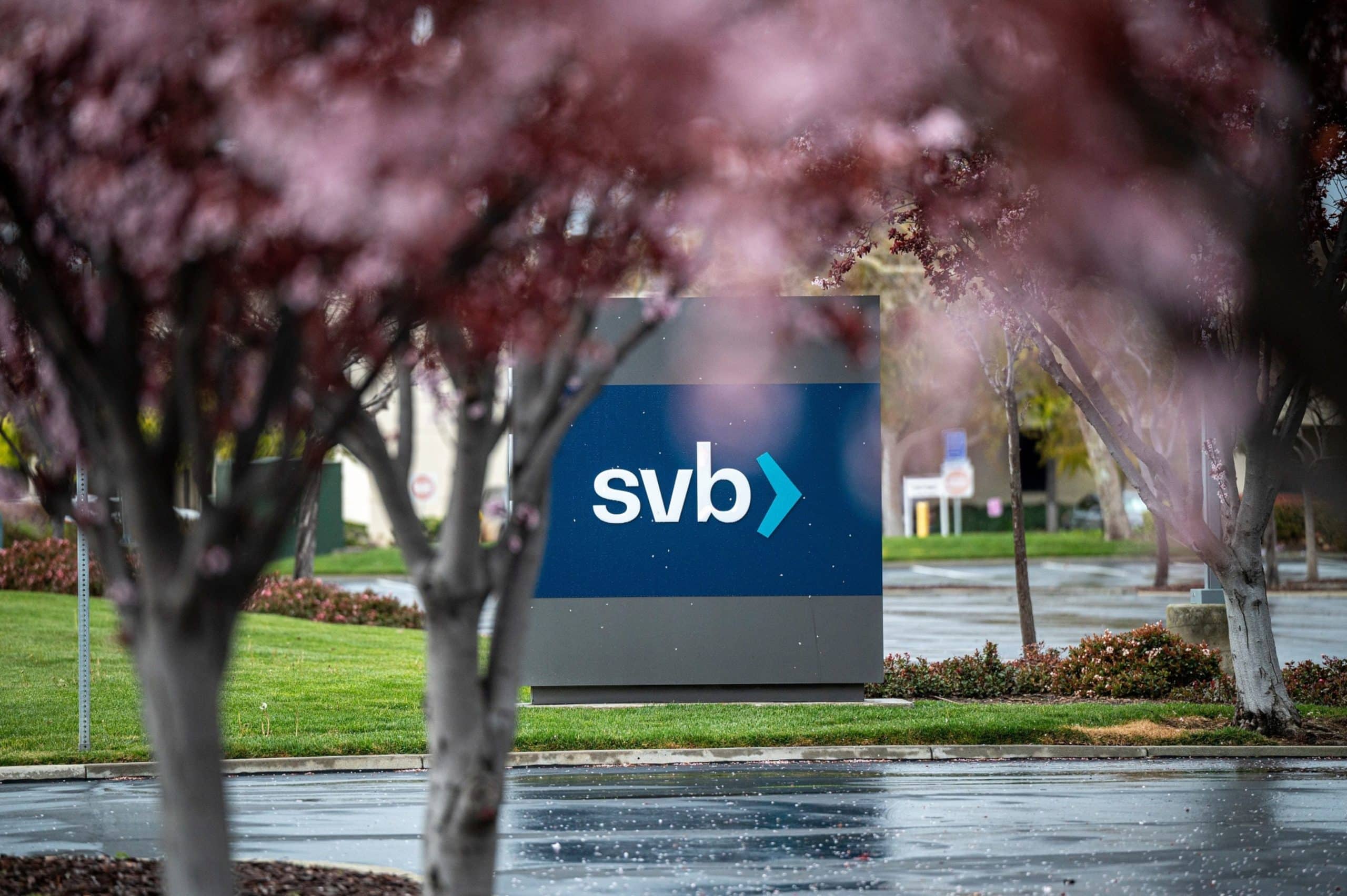 Silicon Valley Bank kollapser hurtigt, efter at tech-startups flygter