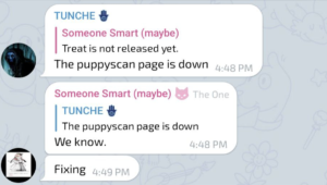 Les spéculations sur les documents entrants s'ensuivent alors que les développeurs travaillent sur la page Shibarium Puppyscan