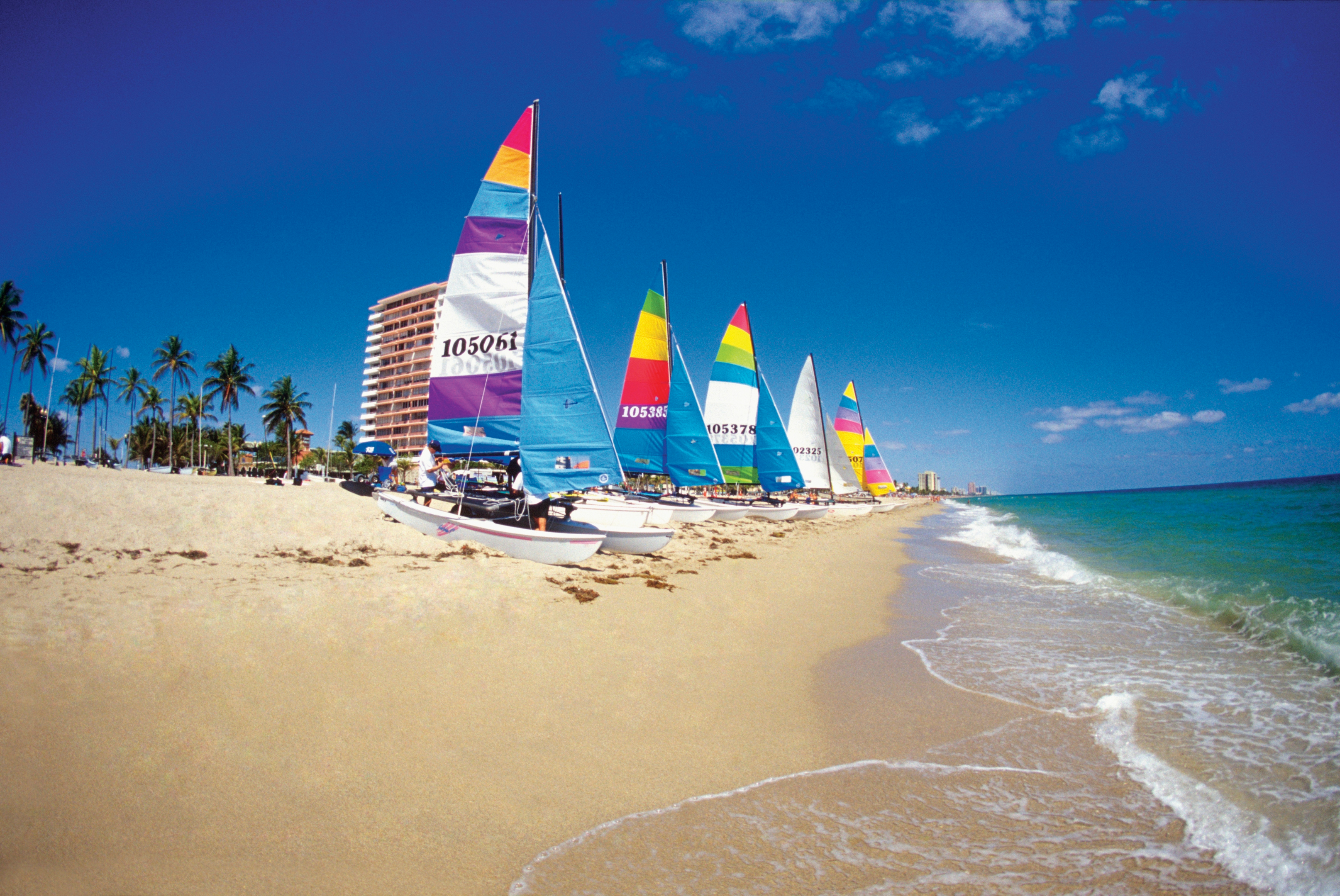 Six catamarans sitting on sand dunes in Ft. Lauderdale beach