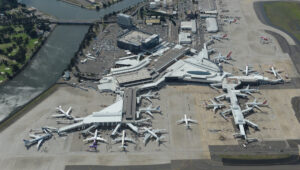 Administrerende direktør i Sydney lufthavn sier at gjenoppretting av innenlands luftfart nå er "stillestående"
