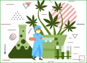 Le problème du laboratoire de test de cannabis - Faux niveaux de THC pour faire des affaires, ce que les régulateurs se trompent en testant l'herbe