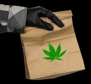 Den internationale ukrudtshandel blomstrer! - Italiensk politi opsnapper over 100 kilo canadisk cannabis
