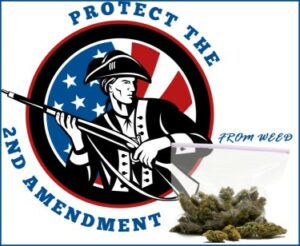 The Loss of Liberty - The 2nd Amendment og den almindelige cannabisbruger
