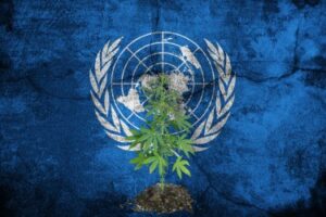 유엔의 미국 대마초 비판 - 탈중앙화 사례