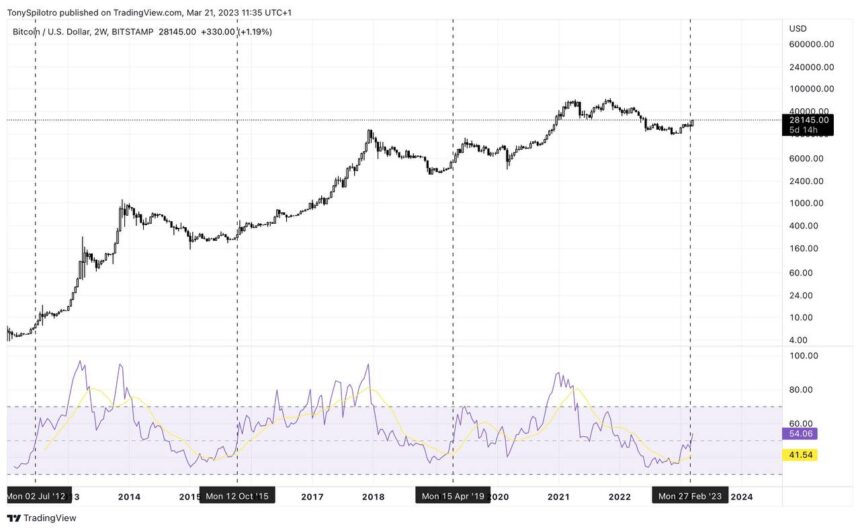 bitcoin RSI bottom is in