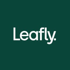 2022. aastal Leafly külastatud populaarseimad seemnepangad