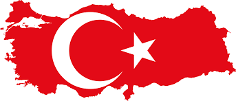 راهنمای ترکی در مورد فراخوان و برداشت تجهیزات پزشکی: بررسی اجمالی