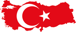 Турецкое руководство по изъятию и отзыву: добровольный и принудительный отзыв и изъятие