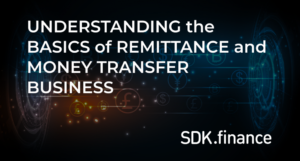 Înțelegerea elementelor de bază ale afacerii cu remitențe și transfer de bani