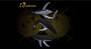 تحرك الحيتان فجأة 195,231,414،XNUMX،XNUMX دولارًا في منافس Shiba Inu و Bitcoin من أعلى بورصة تشفير وسط اضطراب السوق