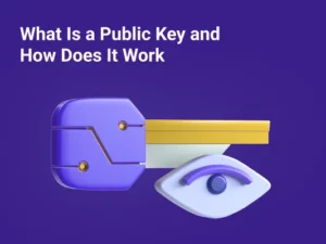 Qu'est-ce qu'une clé publique et comment ça marche