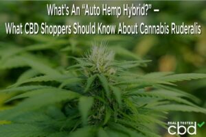 Hva er en "Auto Hemp Hybrid?" — Hva CBD-kunder bør vite om Cannabis Ruderalis