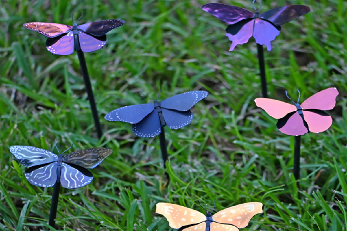 اولین رنگ کم مصرف جهان از پروانه ها الهام گرفته شده است