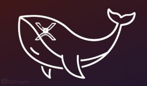 Les baleines XRP amassent près d'un demi-milliard de pièces alors que les commerçants font preuve de confiance dans une «victoire par ricochet» dans l'affaire SEC