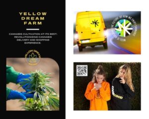 Yellow Dream Farms lanserar WEEL: Revolutionizing Cannabis Delivery and Shopping Experience