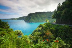 10 fordele og ulemper ved at bo på Hawaii