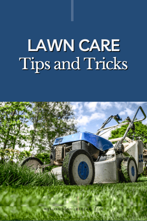 Tipps und Tricks zur Rasenpflege
