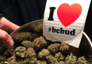 B.C. Government to Kill B.C. Bud with Civil Forfeiture Act 
