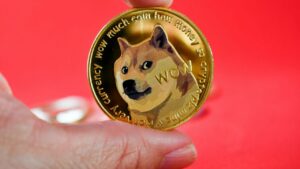 Größte Aufsteiger: DOGE, SHIB fallen nach Crypto Red Wave auf mehrwöchige Tiefststände