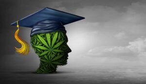 Kaliforniens cannabisavdelning beviljar nästan 20 miljoner dollar till akademiska institutioner