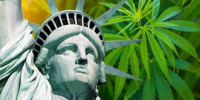 Cannabis and Court Rulings: New York Example